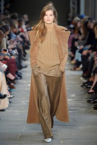 Max Mara RTW Fall 2017
