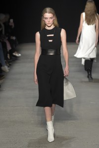 Narciso Rodriguez RTW Fall 2017