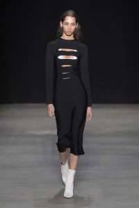 Narciso Rodriguez RTW Fall 2017
