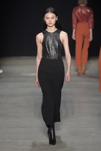 Narciso Rodriguez RTW Fall 2017