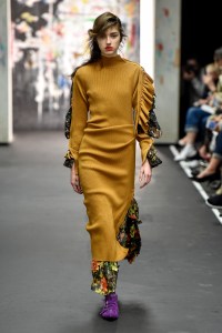 Preen by Thornton Bregazzi RTW Fall 2017