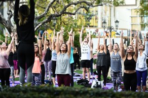 Yoga at The Grove