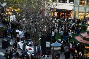 The crowd at The Grove