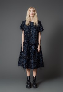 Samuji RTW Fall 2017