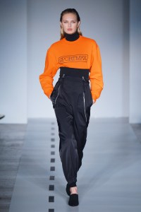 Sportmax RTW Fall 2017