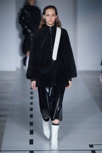 Sportmax RTW Fall 2017