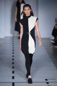Sportmax RTW Fall 2017