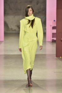 Tibi RTW Fall 2017
