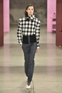 Tibi RTW Fall 2017