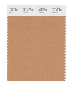 Pantone Top 20 Colors for Fall 2017