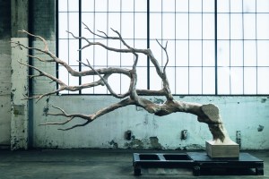 "Second Nature"