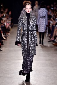 Andrew GN RTW Fall 2017