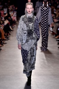 Andrew GN RTW Fall 2017
