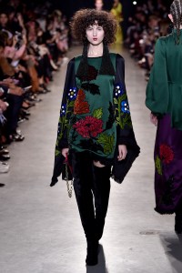 Andrew GN RTW Fall 2017