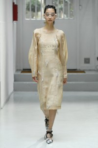 Anne Sophie Madsen RTW Fall  2017