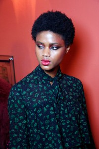 Backstage at Vanessa Seward RTW Fall 2017