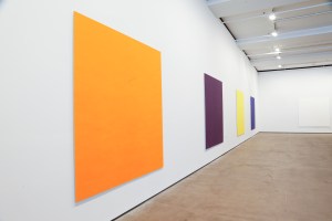 Callum Innes' show at the Sean Kelly Gallery.