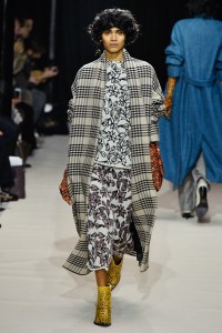 Christian Wijnants RTW Fall 2017