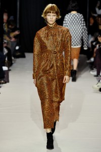 Christian Wijnants RTW Fall 2017