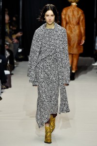 Christian Wijnants RTW Fall 2017