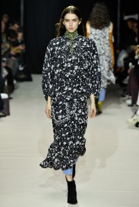 Christian Wijnants RTW Fall 2017