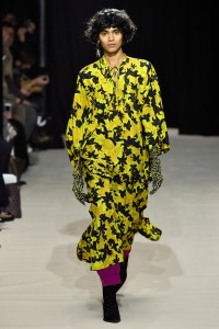Christian Wijnants RTW Fall 2017