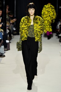 Christian Wijnants RTW Fall 2017