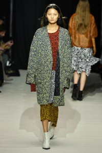 Christian Wijnants RTW Fall 2017