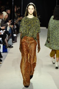 Christian Wijnants RTW Fall 2017