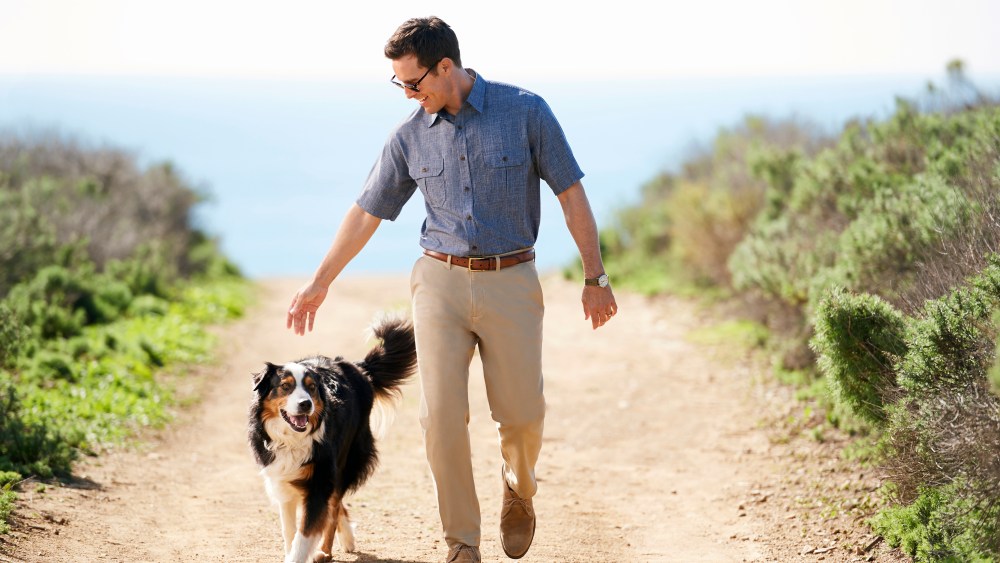 A look from Haggar