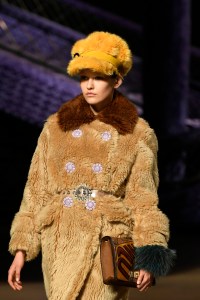 Details at Miu Miu RTW Fall 2017