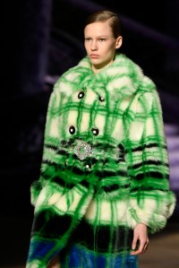 Details at Miu Miu RTW Fall 2017