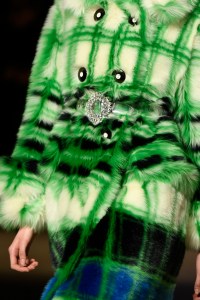 Details at Miu Miu RTW Fall 2017