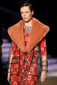 Details at Miu Miu RTW Fall 2017