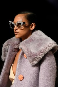 Details at Miu Miu RTW Fall 2017