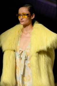 Details at Miu Miu RTW Fall 2017
