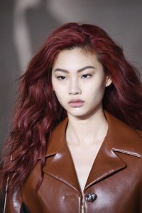 Details at Louis Vuitton RTW Fall 2017
