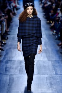 Christian Dior RTW Fall 2017