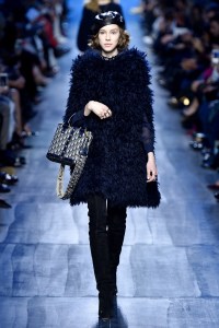 Christian Dior RTW Fall 2017