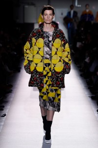 Dries Van Noten RTW Fall 2017