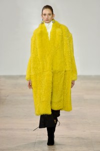 Ellery RTW Fall 2017