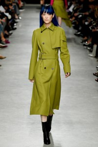 Guy Laroche RTW Fall 2017