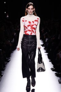 Hermès RTW Fall 2017