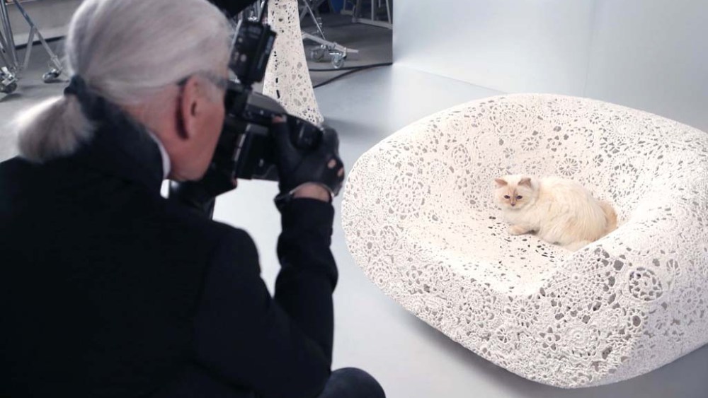 Karl Lagerfeld's Famous Cat Choupette Turns 7