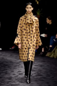 Loewe RTW Fall 2017