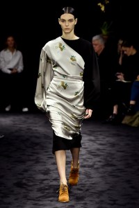 Loewe RTW Fall 2017