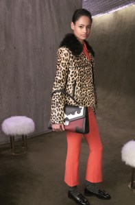 Longchamp RTW Fall 2017