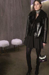 Longchamp RTW Fall 2017