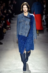 Lutz Huelle RTW Fall 2017