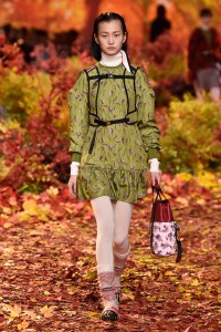 Moncler Gamme Rouge RTW Fall 2017